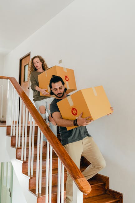 A man and a woman indoors during a home relocation process, both holding large cardboard boxes; the man is on the left wearing a maroon t-shirt and orange pants, holding a box labeled 'fragile' and a large woven vase with green leaves, while the woman on the right is dressed in a white top and jeans, sitting on a teal sofa, holding another large cardboard box. The room has white walls, a curved window in the background allowing natural light, and several potted plants, including a tall one beside the sofa. The scene captures the loading or unpacking stage of furniture transport and packing during house removals, supported by the presence of moving boxes and the work environment typical of a relocation service like Man With a Van Highbury.